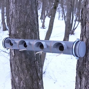 63K views · 557 reactions | Those birds deserve a home like this 諸 | Makeup Lessons | Facebook