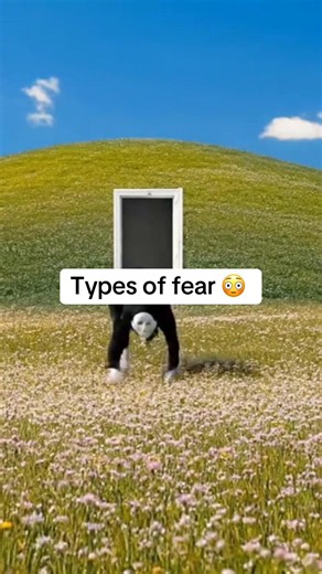 Types of fear 😳#fyp #viral #viralvideo #facts #viraltiktok | acrophobia