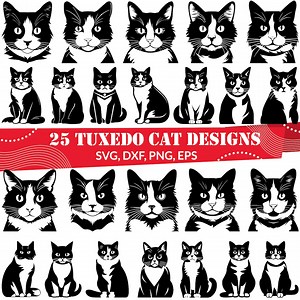 Tuxedo Cat SVG Bundle, Tuxedo Cat Dxf, Tuxedo Cat Png, Tuxedo Cat Vector, Black Cat Svg, Tuxedo Cat Clipart, Tuxedo Cat Graphics - Etsy