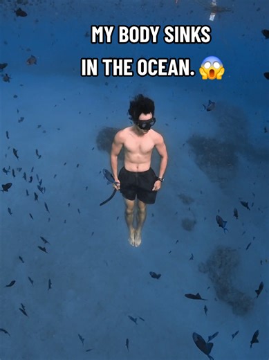 Understanding Negative Buoyancy in Freediving Techniques