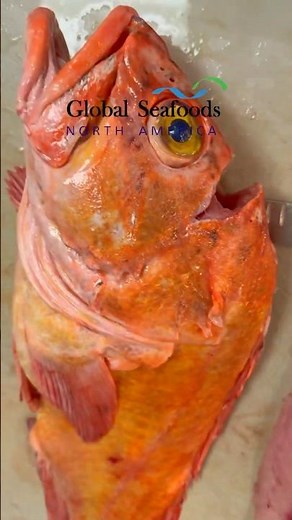 How to Fillet & Grill Yelloweye Rockfish | Alaska Wild-Caught Fish Recipe
