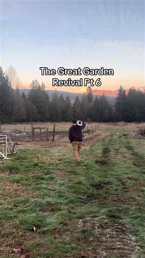 The Great Garden Revival: Phase Two Begins 🌿