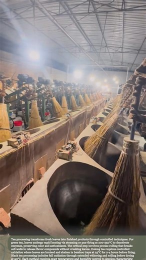 The tea-making process: stir-frying tea leaves #relaxing #satisfying #farming #agriculture