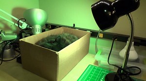 NEW GUIDE: Reverse Engineering a Bluetooth Low Energy Light Bulb