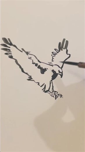Eagle; line drawing #AliSketchMaster #cartoon