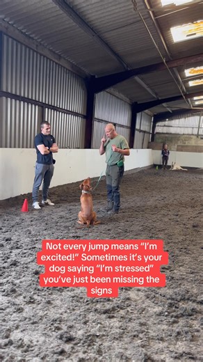 1.1K views | Still struggling with your reactive dog? You can keep...