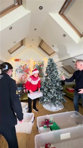 A tidy end to the festive season ✨ #christmas #storage #organisation