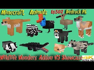 Wildlife Wonders Addon v3 Showcase Bedrock PE Minecraft Animals Ep302