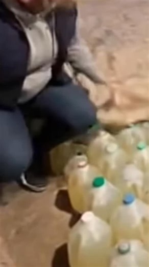 212 reactions · 19 shares | Cindy’s aunt Anne discovers a secret in John’s off house compound | Itsavibe Vibes | Facebook