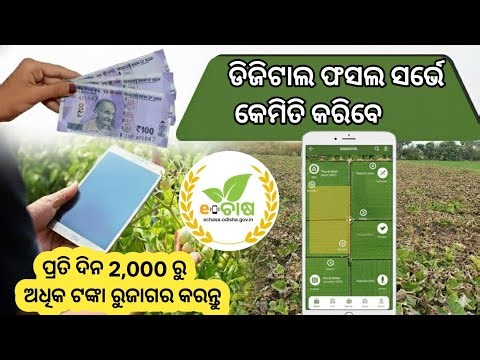 ଡିଜିଟାଲ ଫସଲ ସର୍ଭେକେମିତି କରିବେ // Digtal Corp Sarve e-Chasa Odisha 