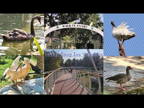 Sayaji Baug Zoo - Kamati Baug Zoo Vadodara - Part 1 - Walk in Aviary Bridge Full Tour