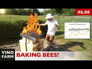 Insulated Beehives + Summer Heat (Hive Sensors + Temperature Data)