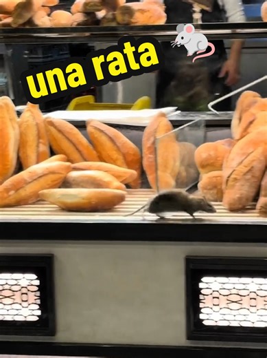 Una rata en la panadería: Humor venezolano en Bogotá