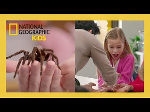 Kids REACT to REAL Bugs | A Real Bug's Life S2 | @natgeokids - Videos For Kids
