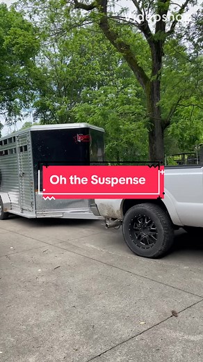 Adorable Horse Video Compilation: Part 1 | Cute Payton Moments