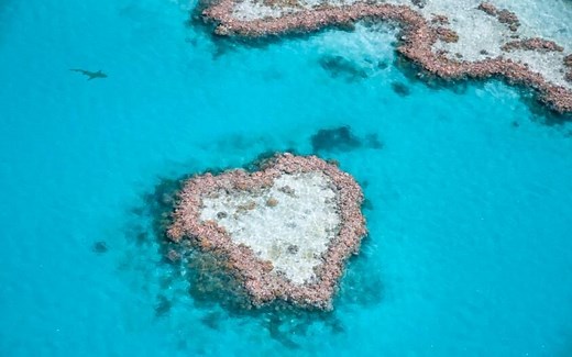 地球上的明珠：2500万年的大堡礁，潜水者的天堂
