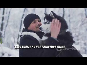 Potty Training Your Siberian Husky: Fun & Effective Tips!