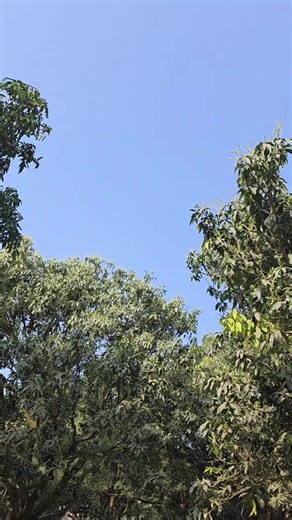 Create a Stunning Taj Mahal Replica