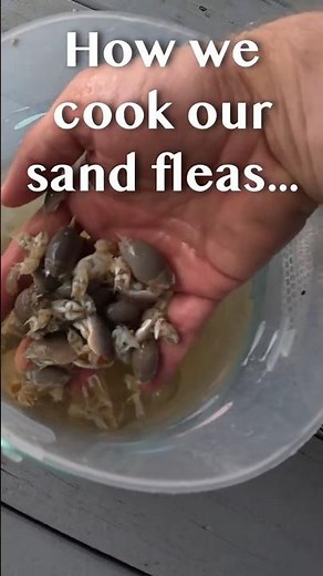 "How I Cook Sand Fleas 🦐🔥 (Yes, Really!)"