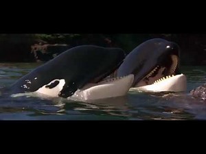 04. Connection (Free Willy 2 / 1995) Soundtrack /With voices/