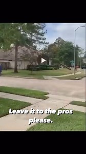 16M views · 134K reactions | Another I can do it cheaper. Leave it...