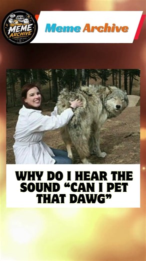 Can i pet that dog #memes #meme #dog #trending #shorts