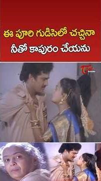 Rajendra Prasad & Nirosha Ultimate Scene #MahajananikiMaradaluPilla #Shorts #YTShorts #TeluguOne