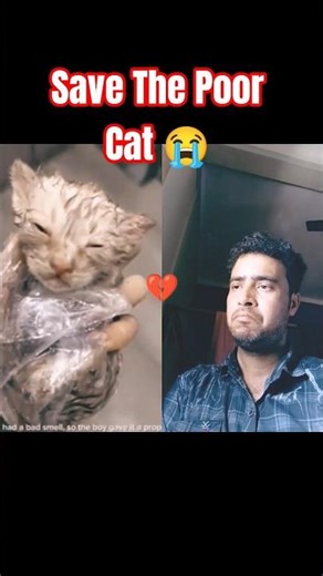 Kind Boy Saves Wet Scared Cat ❤️😭 #shorts