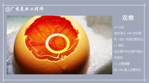 【科普】化妆品眼刺激性/腐蚀性的鸡胚绒毛尿囊膜试验