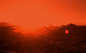 Our Operation - Battle Lumber Company