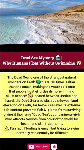 Dead Sea Mystery 🌊 | Why Humans Float Without Swimming 😲