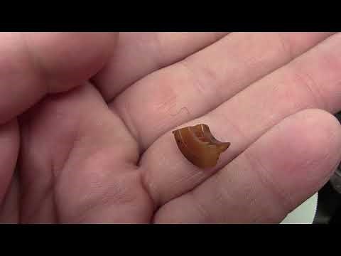 Singer 413 Vertical Gear Replacement