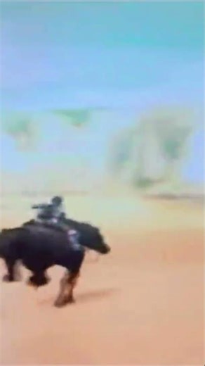 Shadow Of The Colossus 🌠