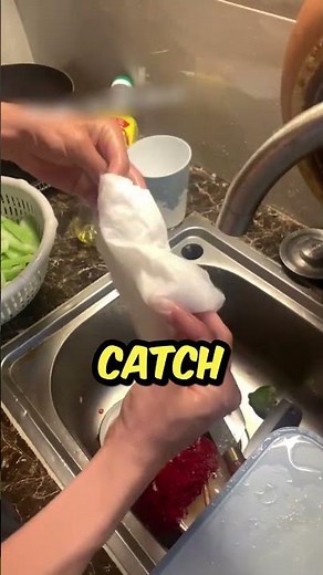 The Smartest Way To Catch A Cockroach!