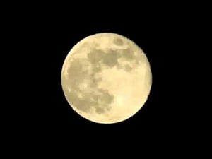 Cab Calloway - Moon Glow (1933)