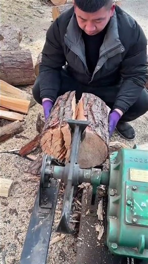 Splitting a large pine log into multiple sections using a heavy duty mechanical log splitter machine