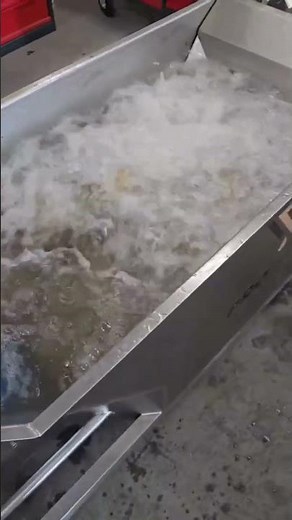 Fruit Bubble Washer Elevator Mill AQUAMILL | Fruit & Vegetable, Berry processing machinery