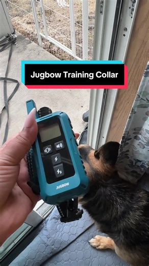 Jugbow Training Collar for Dog Reactivity
