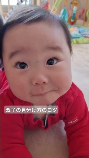 一卵性双子の見分け方