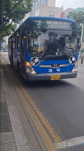 Donggu No. 1-1 New Super Aero City Improved Standard Bus Riding Video