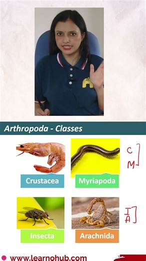 Biology hack 🚨 Arthropoda classes in one line!