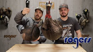 14K views · 98 reactions | We've bundled together a groundblind and turkey decoys for some GREAT SAVINGS! Checkout the video. | Rogers Sporting Goods | Facebook