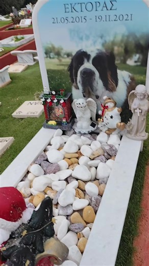 Εμείς θα είμαστε πάντα δίπλα σου Εκτορακο ♥️