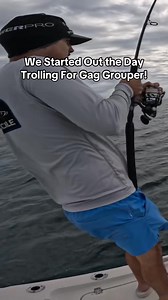We started out the day trolling for Gag Grouper and it didn’t take long before we hooked up! #gaggrouper #grouperfishing #tampabay | Groupermvp