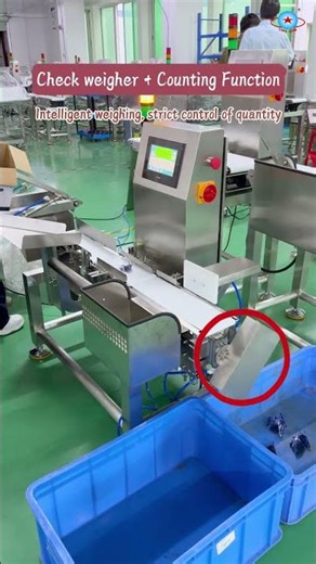Checkweigher with counting function