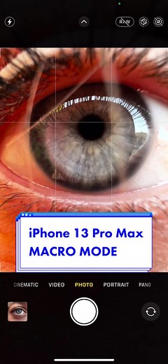 iphone 13 pro max Macro mode #macro #macromode #iphone #shotoniphone #iphonephotography #oceaneyes