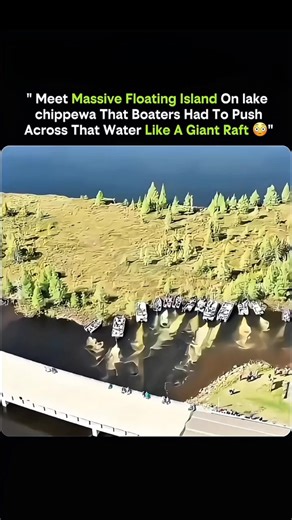 SCIENCE IN INFINITY WAY on Instagram: "Meet a massive floating island on Lake Chippewa 🌿🚤—so large that boaters had to push it across the water like a giant raft. These natural islands form when thick mats of vegetation, roots, and peat break free from the shoreline. Trapped gases and buoyant plant matter keep them afloat, allowing them to drift with wind and currents. Over time, they can grow trees and soil, becoming moving ecosystems. It looks unreal, but it’s pure ecology and physics in act