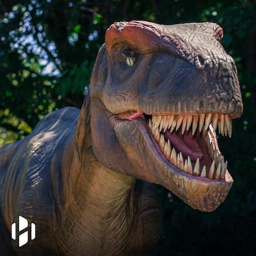 427K views · 10K reactions | Is it possible to recreate dinosaurs from their DNA? | Hashem Al-Ghaili | Facebook