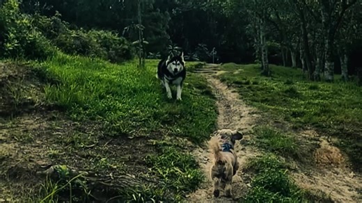 Christopher Silva on TikTok