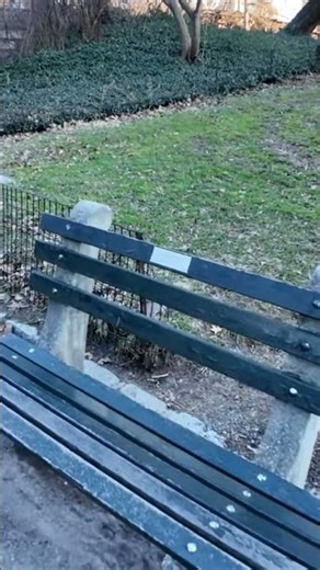 The Central Park Carousel and a squirrel at Sunset | NYC 4K 🎠